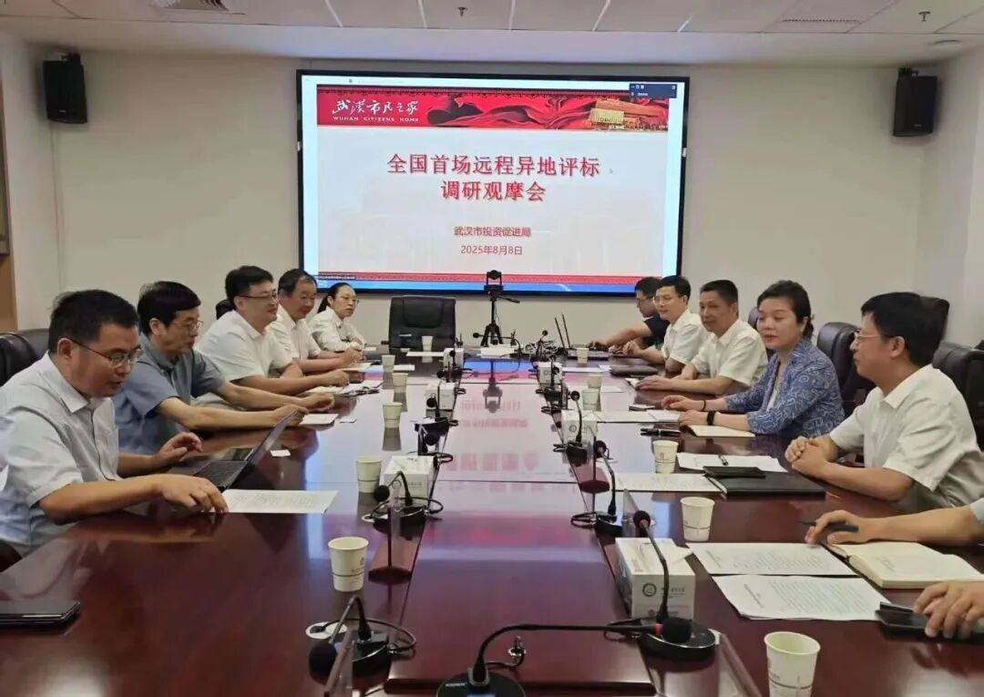 遠(yuǎn)程異地評(píng)標(biāo)，湖北首例執(zhí)行、首個(gè)“點(diǎn)亮”